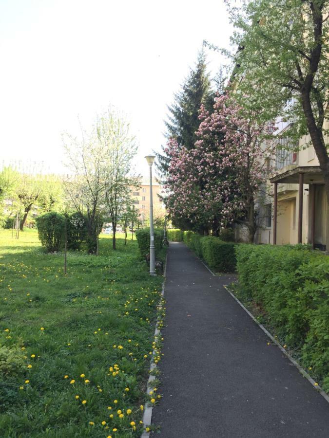 Gold Apartments Бая-Маре Экстерьер фото